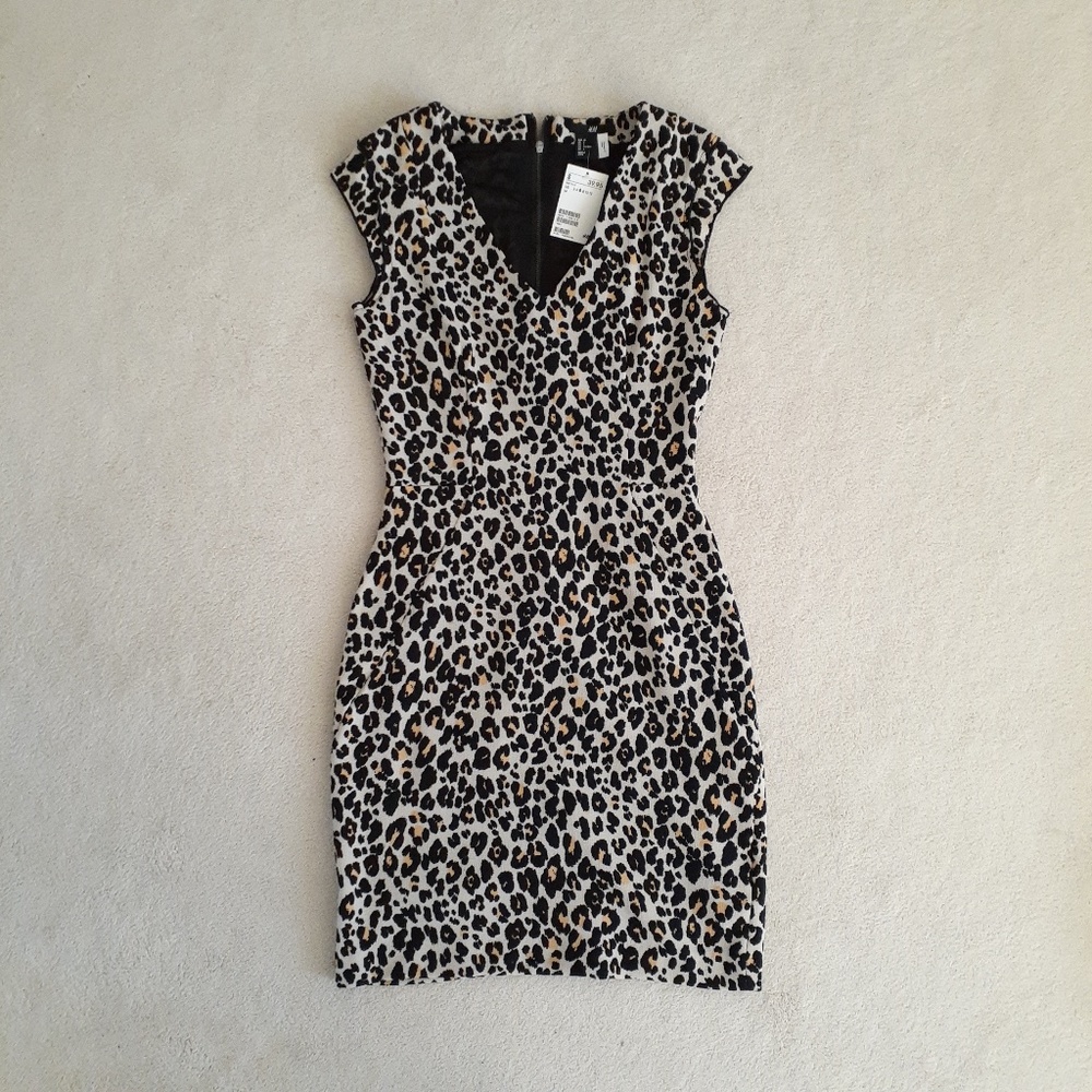 H&M V-Neck Leopard Print Dress